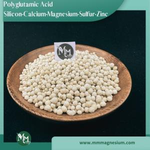 Polyglutamic Acid Silicon Calcium Magnesium Sulfur Zinc Fertilizer